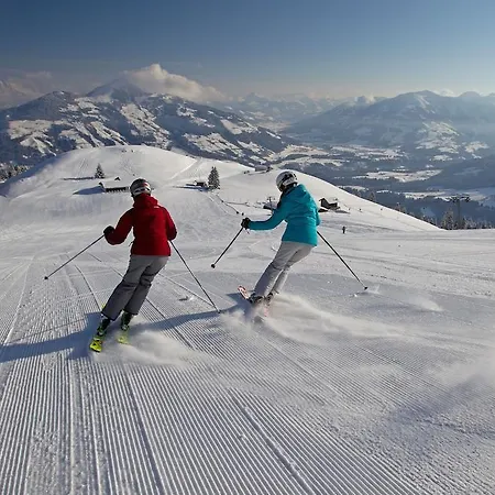 Margreiter * 涅德劳